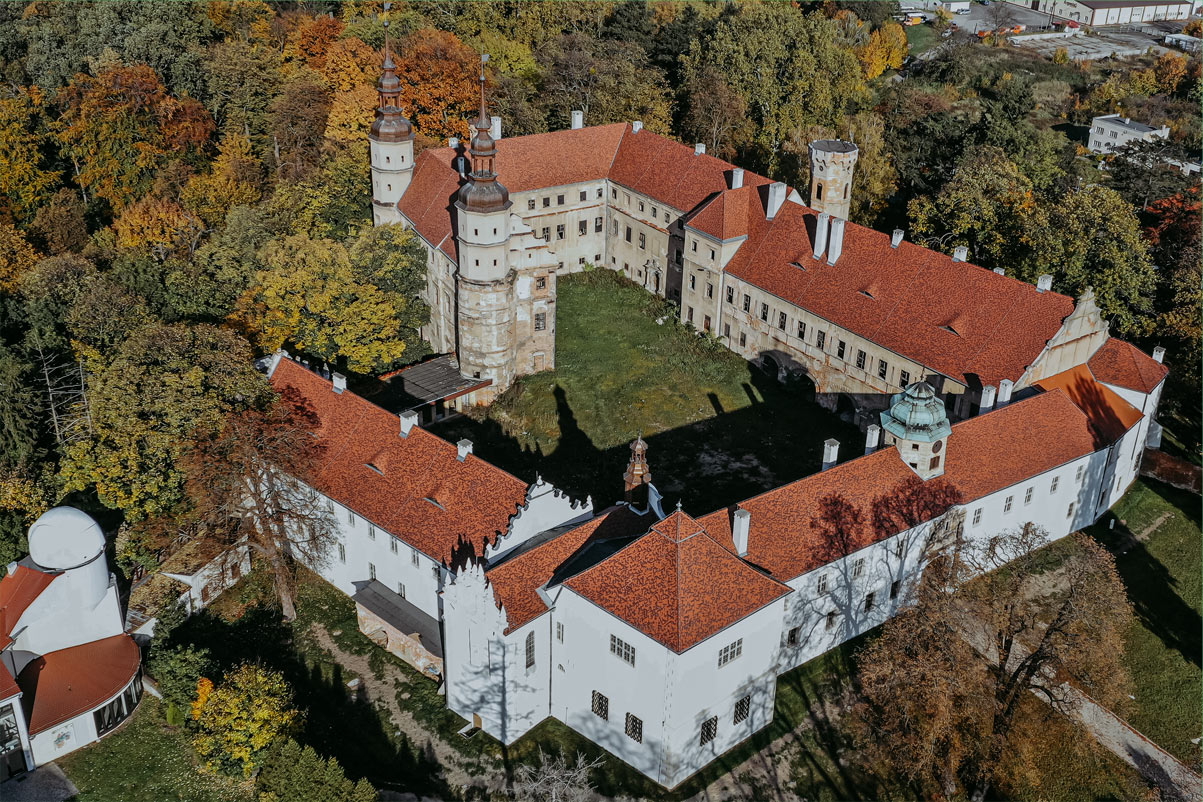 Obraz