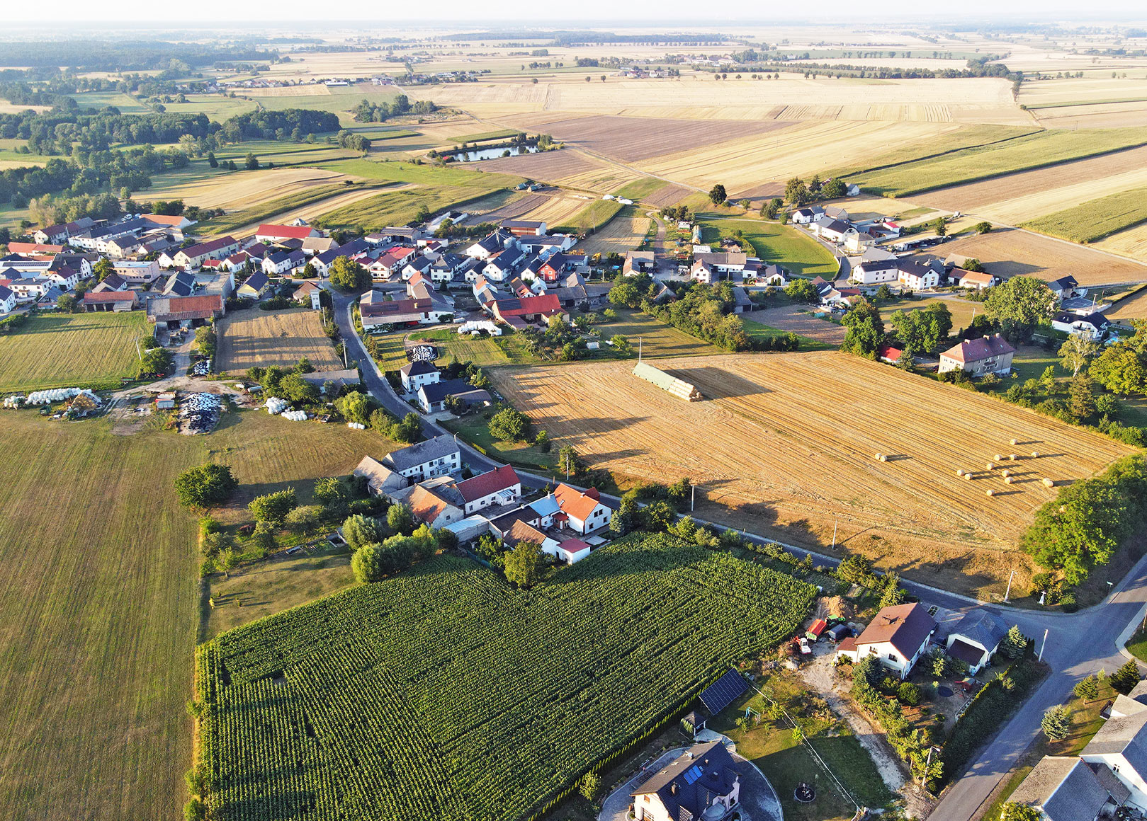 Sołectwo: Mionów