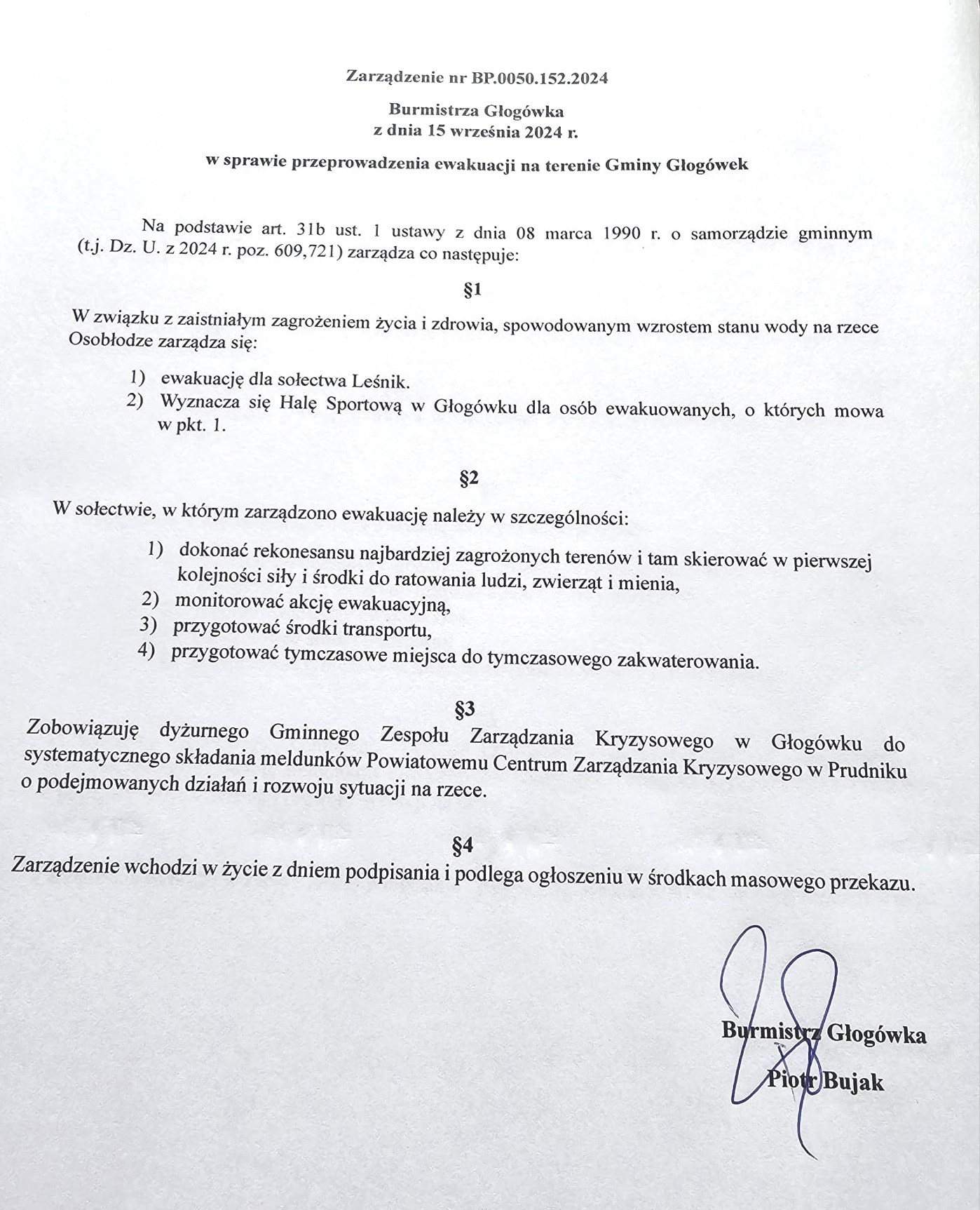 Obraz: