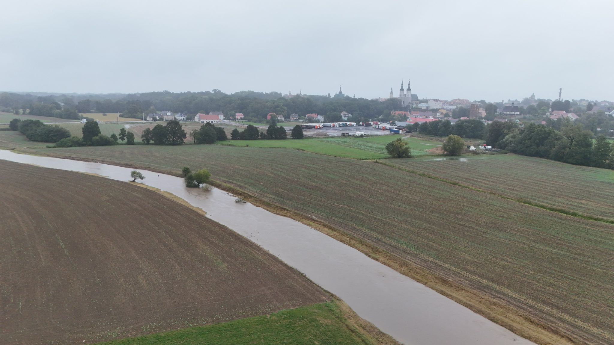 Obraz: