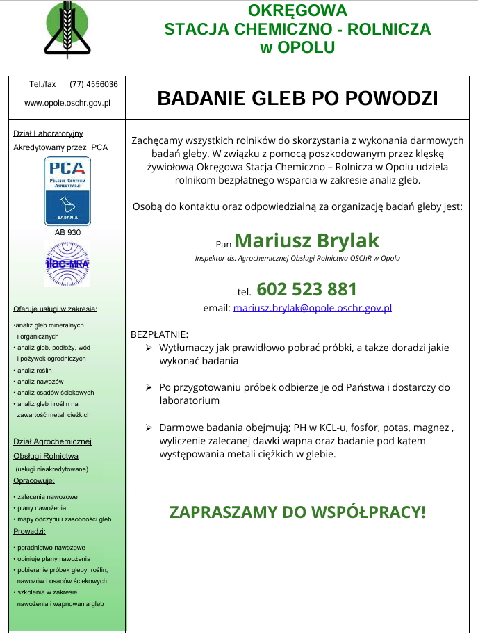 Obraz: