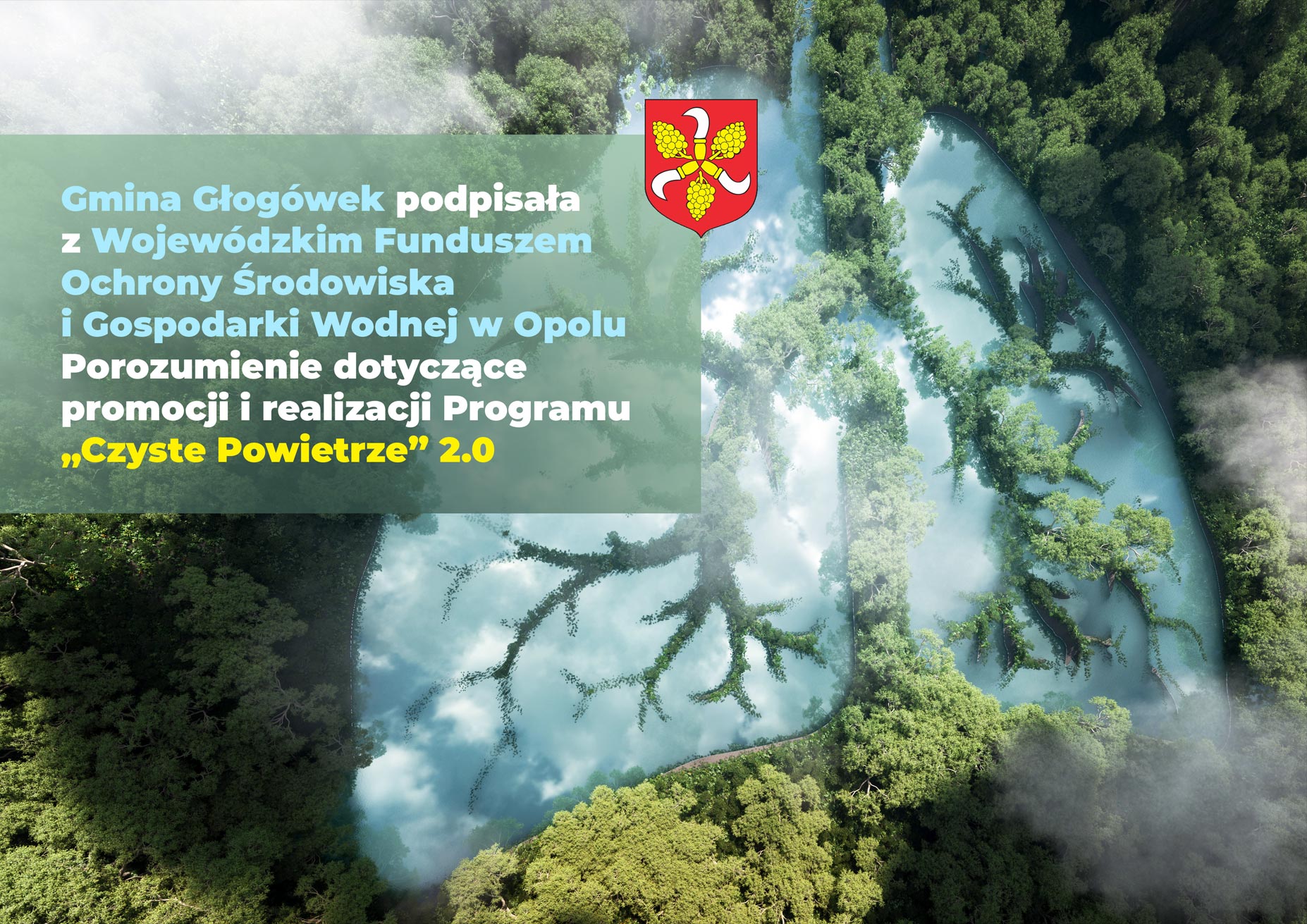 Plakat programu