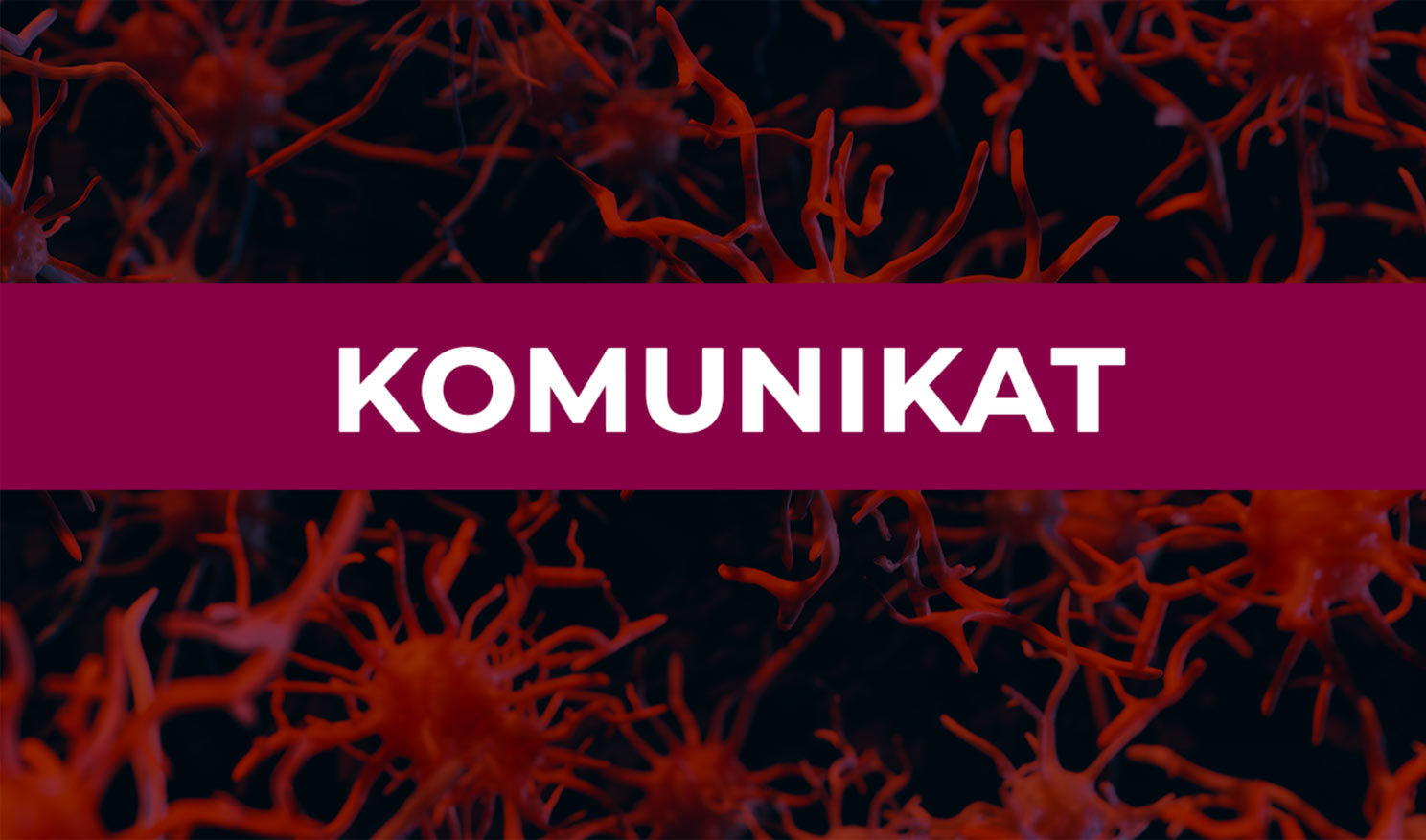 Komunikat