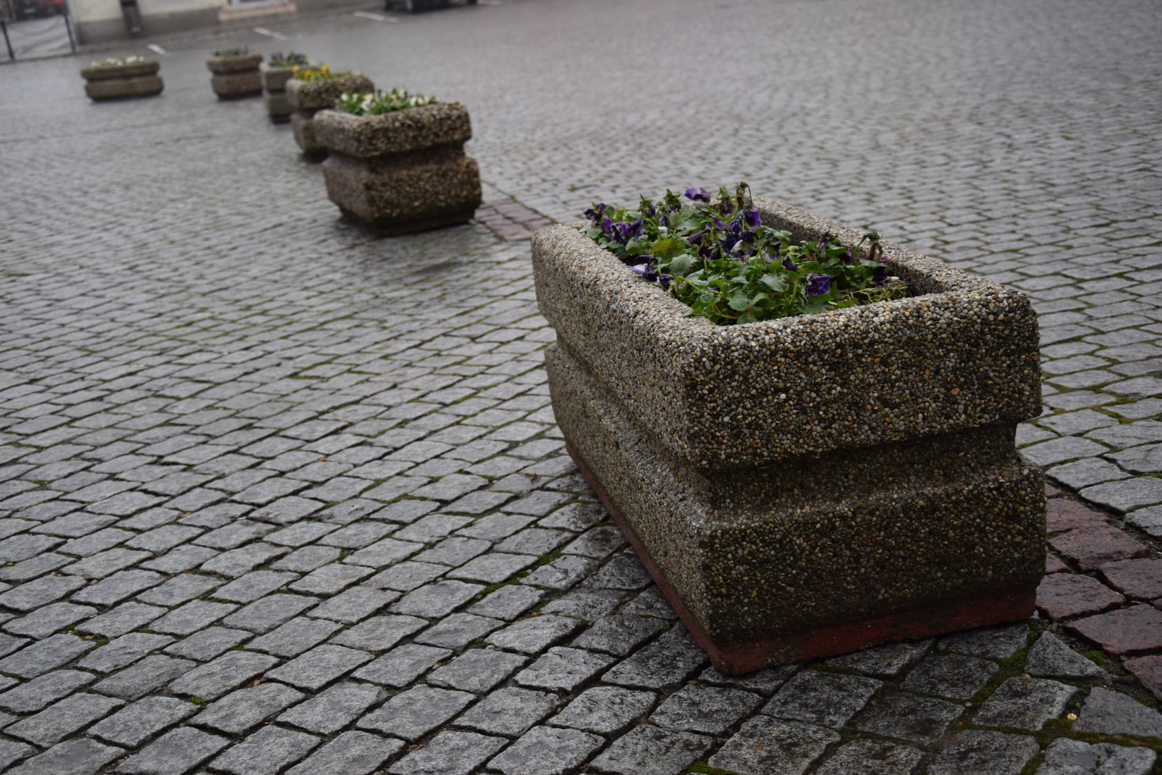 Rynek w Głogówku
