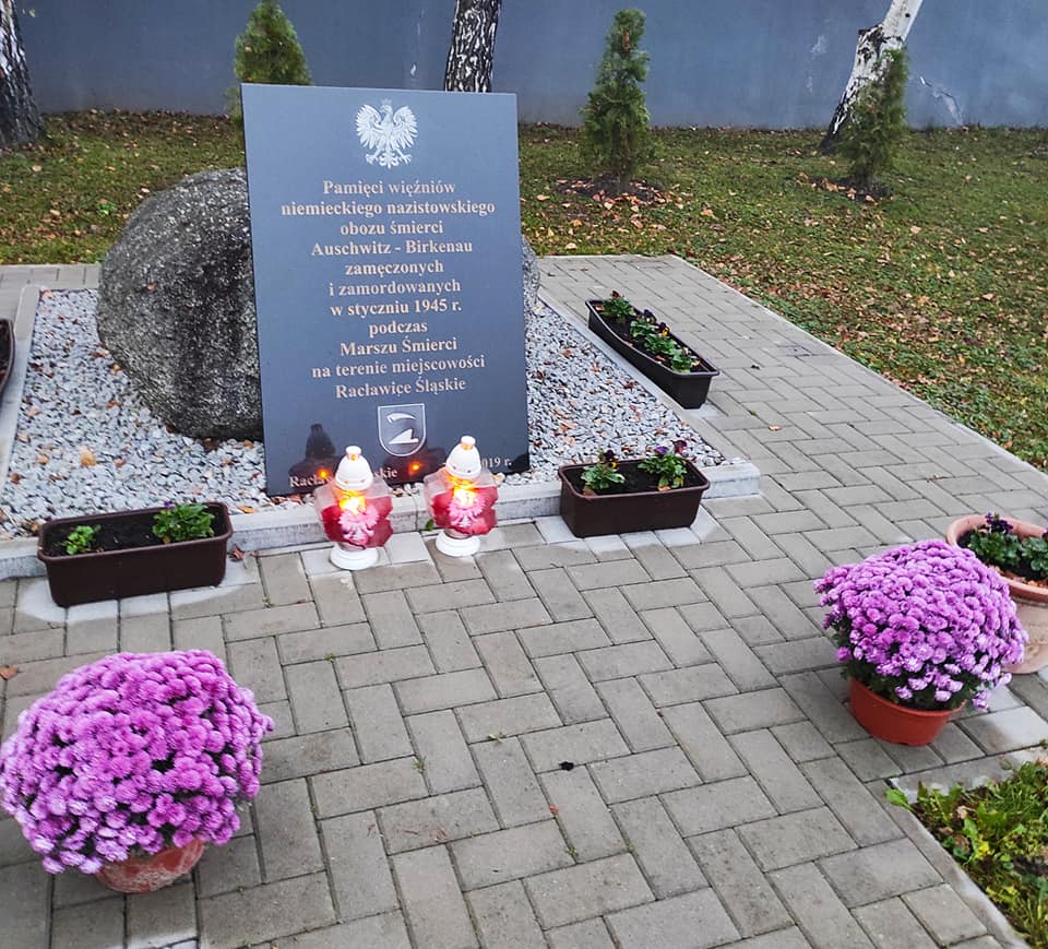 Głogówek ukwiecony - zdjęcia kwiatów w Głogówku